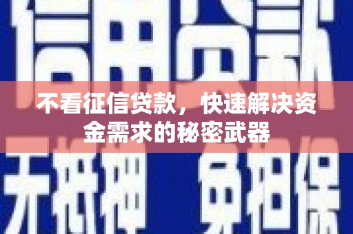 颍上不看征信贷款，快速解决资金需求的秘密武器