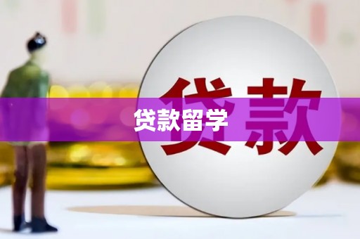 颍上贷款留学