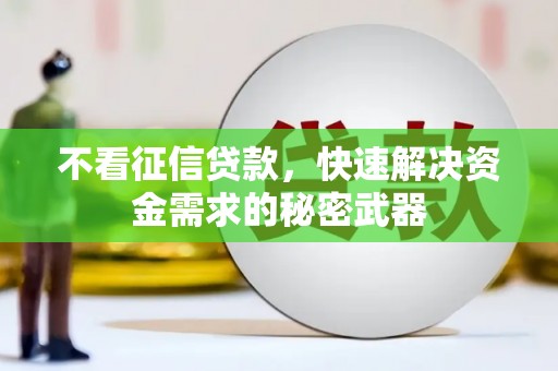 颍上不看征信贷款，快速解决资金需求的秘密武器