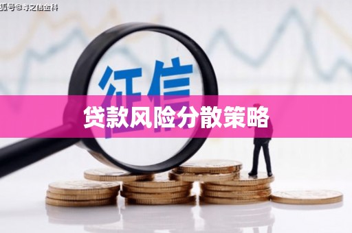 颍上贷款风险分散策略