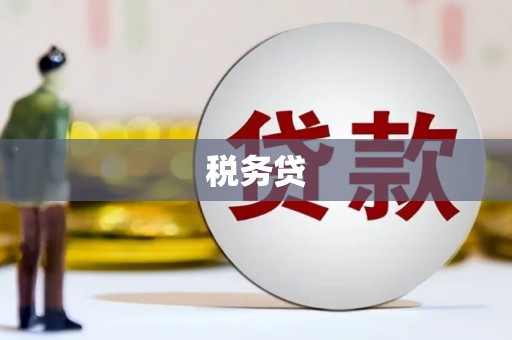颍上税务贷
