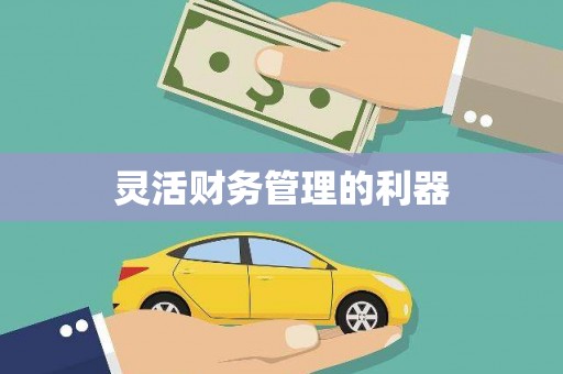 颍上灵活财务管理的利器