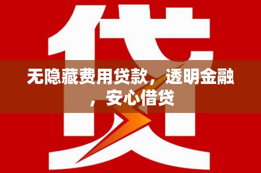 颍上无隐藏费用贷款，透明金融，安心借贷