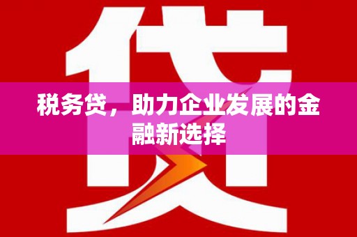 颍上税务贷，助力企业发展的金融新选择