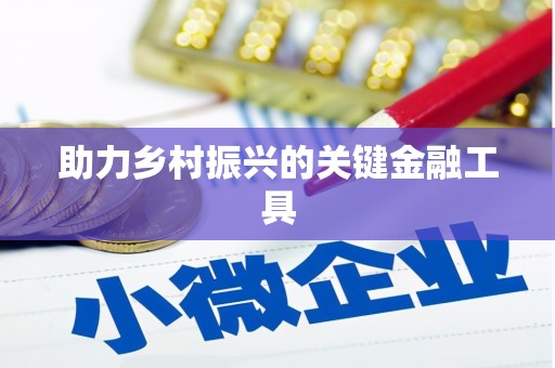 颍上助力乡村振兴的关键金融工具