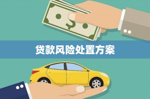 颍上贷款风险处置方案