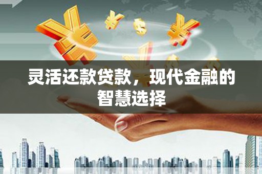 颍上灵活还款贷款，现代金融的智慧选择