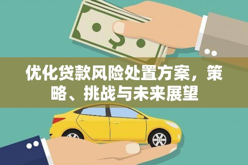 颍上优化贷款风险处置方案，策略、挑战与未来展望