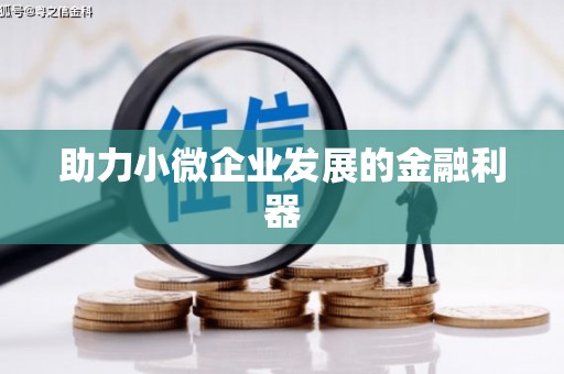 颍上助力小微企业发展的金融利器