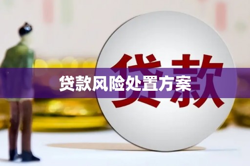 颍上贷款风险处置方案