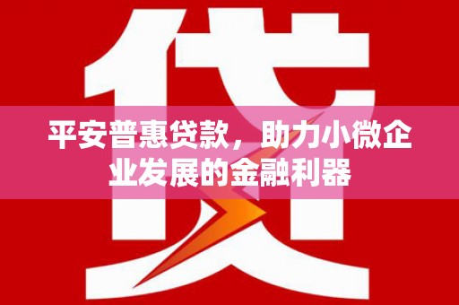 颍上平安普惠贷款，助力小微企业发展的金融利器