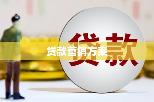 颍上贷款营销方案