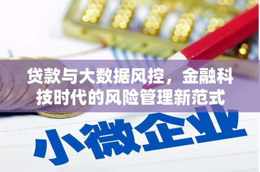 颍上贷款与大数据风控，金融科技时代的风险管理新范式