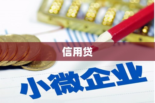 颍上信用贷