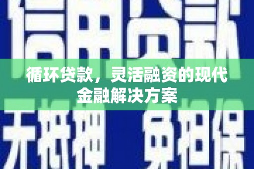 颍上循环贷款，灵活融资的现代金融解决方案
