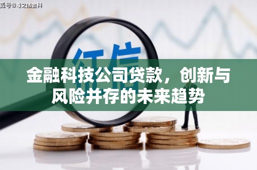 颍上金融科技公司贷款，创新与风险并存的未来趋势