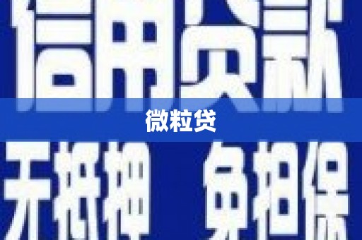 颍上微粒贷