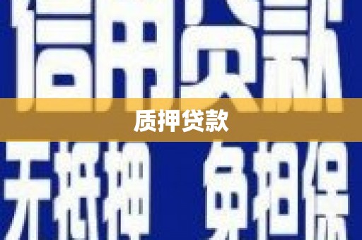 颍上质押贷款