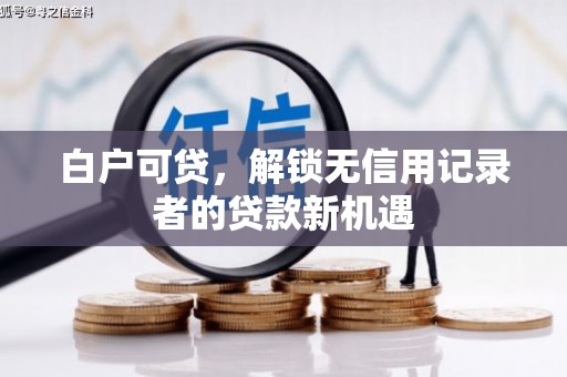 颍上白户可贷，解锁无信用记录者的贷款新机遇
