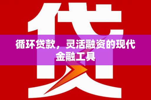 颍上循环贷款，灵活融资的现代金融工具