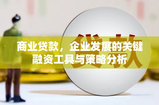 颍上商业贷款，企业发展的关键融资工具与策略分析