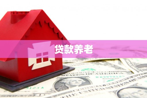 颍上贷款养老