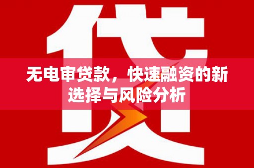颍上无电审贷款，快速融资的新选择与风险分析