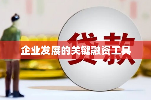 颍上企业发展的关键融资工具