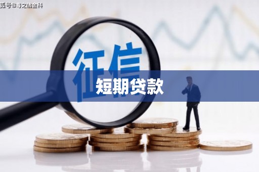 颍上短期贷款