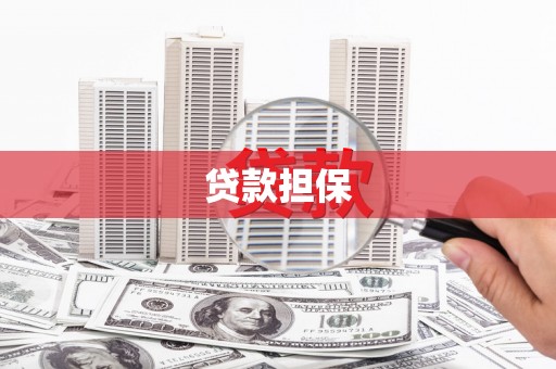 颍上贷款担保