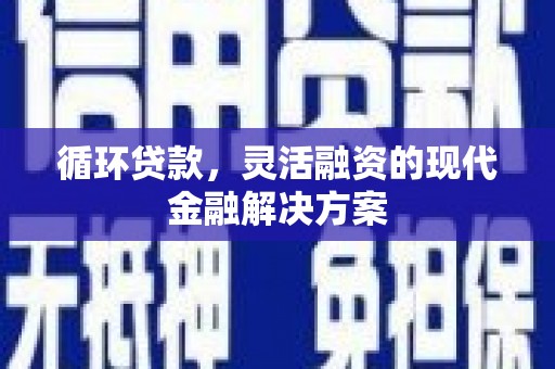 颍上循环贷款，灵活融资的现代金融解决方案