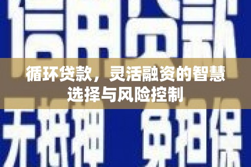 颍上循环贷款，灵活融资的智慧选择与风险控制