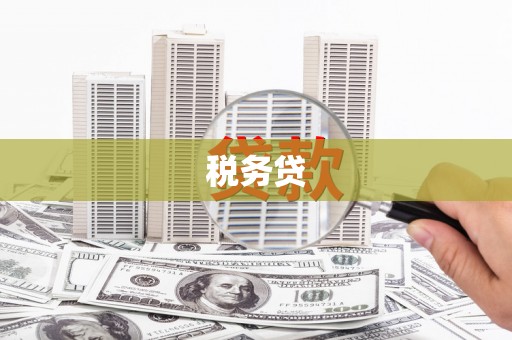 颍上税务贷