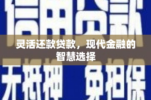 颍上灵活还款贷款，现代金融的智慧选择