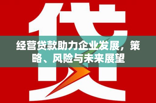 颍上经营贷款助力企业发展，策略、风险与未来展望
