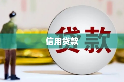 颍上信用贷款