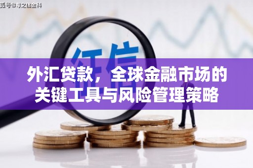 颍上外汇贷款，全球金融市场的关键工具与风险管理策略