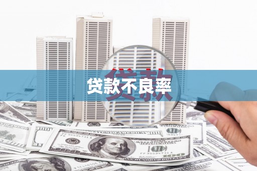 颍上贷款不良率