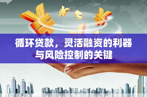 颍上循环贷款，灵活融资的利器与风险控制的关键