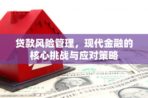 颍上贷款风险管理，现代金融的核心挑战与应对策略
