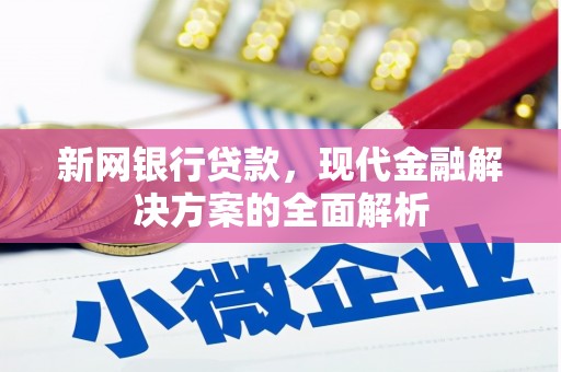 颍上新网银行贷款，现代金融解决方案的全面解析