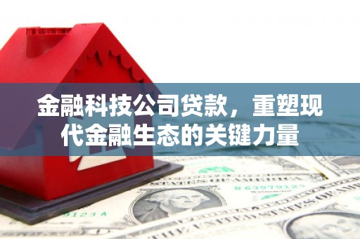 颍上金融科技公司贷款，重塑现代金融生态的关键力量