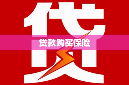 颍上贷款购买保险