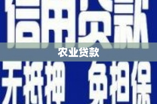 颍上农业贷款
