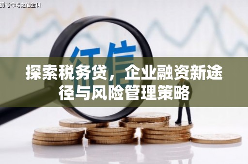 颍上探索税务贷，企业融资新途径与风险管理策略