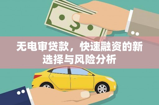 颍上无电审贷款，快速融资的新选择与风险分析
