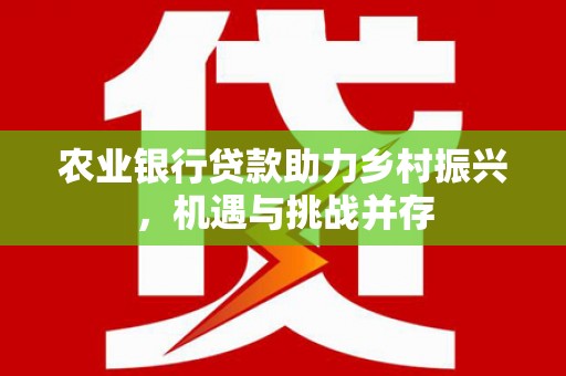 颍上农业银行贷款助力乡村振兴，机遇与挑战并存