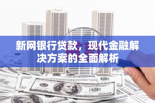 颍上新网银行贷款，现代金融解决方案的全面解析