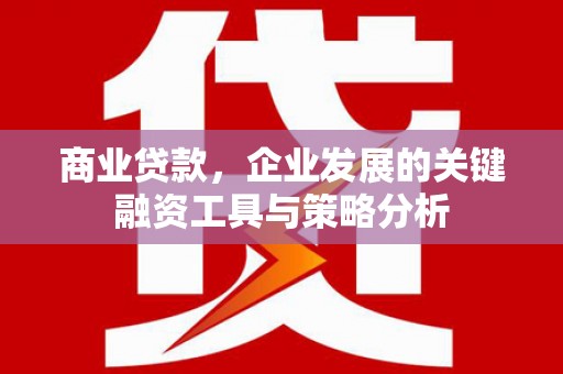 颍上商业贷款，企业发展的关键融资工具与策略分析