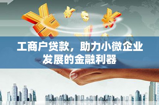颍上工商户贷款，助力小微企业发展的金融利器